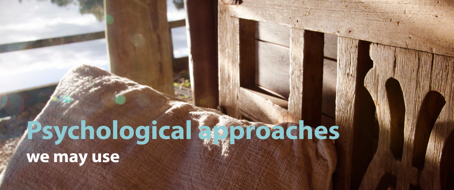 Psychological approaches Psychological approaches
